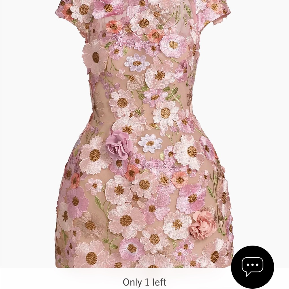 Bronx and Banco Jasmine Floral embroidery minidress